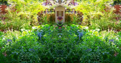 Corners of the Garden