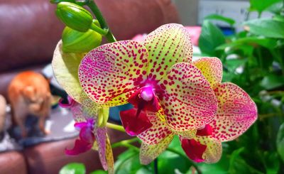 g13/79/738779/3/174606944.d81e7751.JPEG