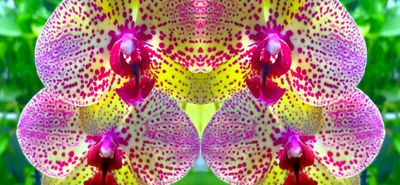 g13/79/738779/3/174606945.034a70be.JPEG