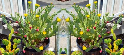 g13/79/738779/3/174617356.9fbc783c.JPEG