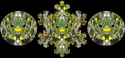 g13/79/738779/3/174617360.8fd7c1bc.JPEG
