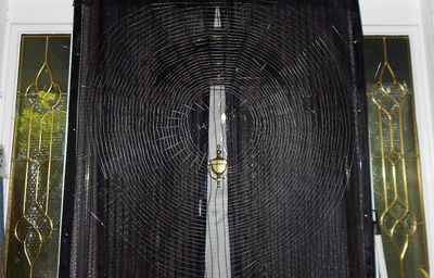 Spider at the Gate