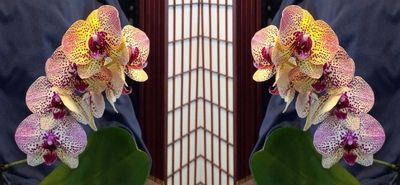 g13/79/738779/3/174652797.6047eb9d.JPEG
