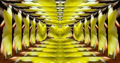 g13/79/738779/3/174653885.b08a82e5.JPEG
