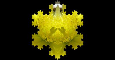 g13/79/738779/3/174653943.4d43d6e6.JPEG