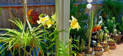 g13/79/738779/3/174656033.d5b374d3.JPEG