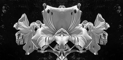 g13/79/738779/3/174656127.f584d1f9.JPEG
