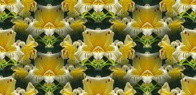 g13/79/738779/3/174656128.c0f6feca.JPEG