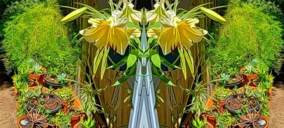 g13/79/738779/3/174656130.257b0d38.JPEG