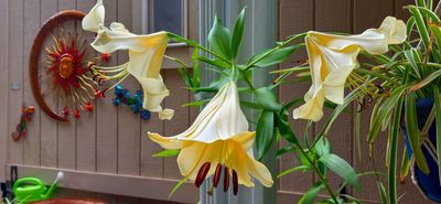g13/79/738779/3/174671224.53d905a2.JPEG