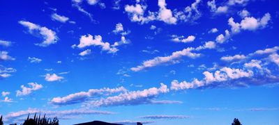 g13/79/738779/3/174671735.97b9836a.JPEG