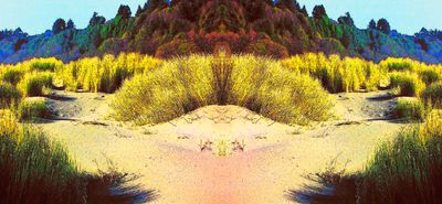 g13/79/738779/3/174704417.4f411ee7.JPEG