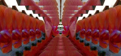 Back of the Red Train