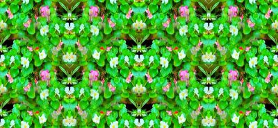 g13/79/738779/3/174734567.2fe87a8d.JPEG