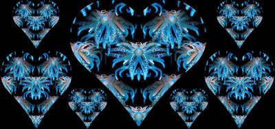 g13/79/738779/3/174765205.47f8bea9.JPEG