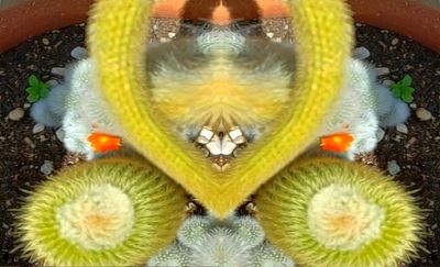 g13/79/738779/3/174821641.62a3a681.JPEG