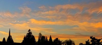 g13/79/738779/3/174875023.dc8f19e4.JPEG
