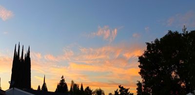g13/79/738779/3/174875028.30b14c4a.JPEG