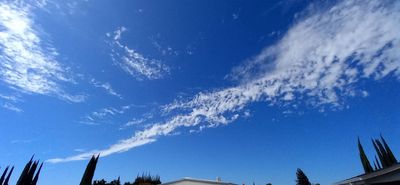 g13/79/738779/3/174888499.3f950d68.JPEG