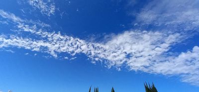 g13/79/738779/3/174888503.a043b6cd.JPEG