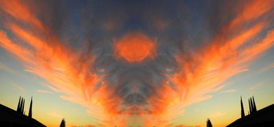 g13/79/738779/3/174929994.f930e2d4.JPEG