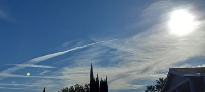 g13/79/738779/3/174981968.bca76cf5.JPEG