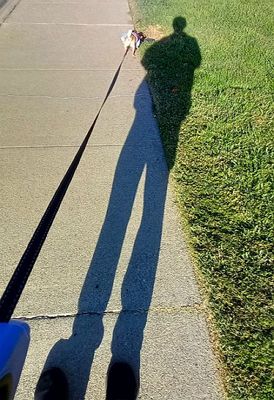 g13/79/738779/3/174982524.fd0addc0.JPEG