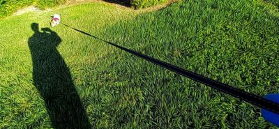 Morning Bugwalk