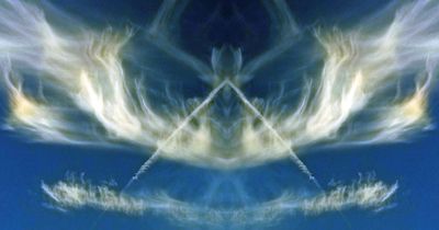 g13/79/738779/3/174987646.3ea1b546.JPEG