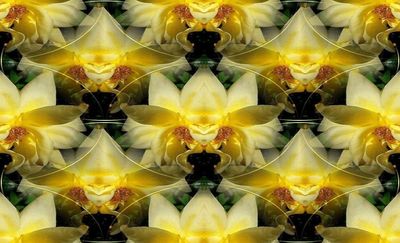 g13/79/738779/3/174989959.cc5c865f.JPEG