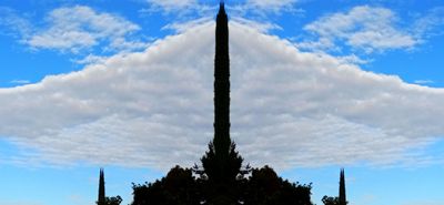 g13/79/738779/3/175002990.ca166d97.JPEG