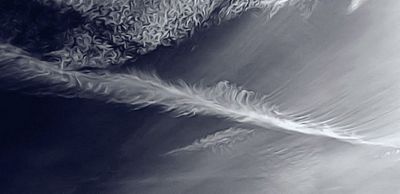 g13/79/738779/3/175154194.3f0c5461.JPEG