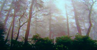 g13/79/738779/3/175179358.79f76f5f.JPEG
