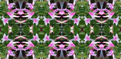 g13/79/738779/3/175208464.dfff2f66.JPEG
