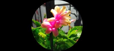 g13/79/738779/3/175208468.97c1c29f.JPEG