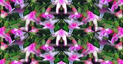 g13/79/738779/3/175208481.5910dd73.JPEG