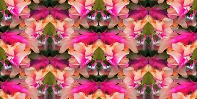g13/79/738779/3/175226573.fd86bfd6.JPEG