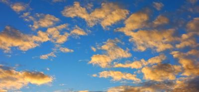 g13/79/738779/3/175226580.1c1c5cb9.JPEG