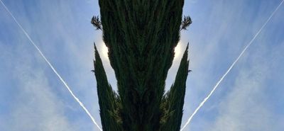 g13/79/738779/3/175250072.5d907fd4.JPEG