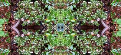 g13/79/738779/3/175271616.d6935d8d.JPEG
