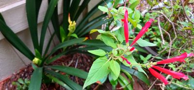 g13/79/738779/3/175271624.a7d86a26.JPEG