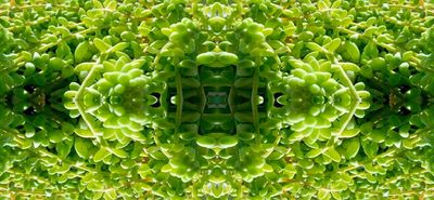 g13/79/738779/3/175278019.e3a7b484.JPEG