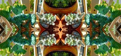 g13/79/738779/3/175278020.472c9d1d.JPEG