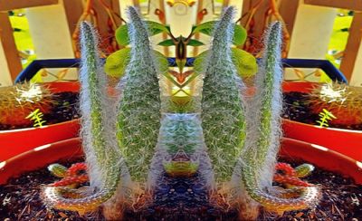 g13/79/738779/3/175278022.259f9a04.JPEG