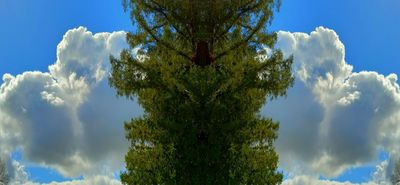 g13/79/738779/3/175302372.69c1ab21.JPEG