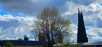 g13/79/738779/3/175302406.31a6985c.JPEG