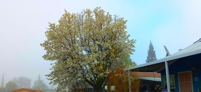 g13/79/738779/3/175313655.80e318ee.JPEG