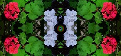 g13/79/738779/3/175332048.51bf602c.JPEG