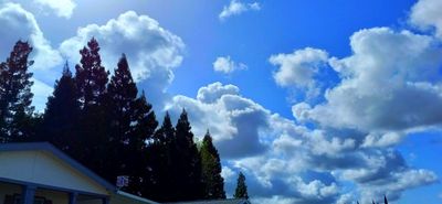 g13/79/738779/3/175335145.768a71ef.JPEG