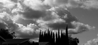 g13/79/738779/3/175335147.f8e3097e.JPEG